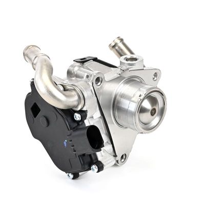 SUPAPA EGR DELPHI EG1060812B1 10