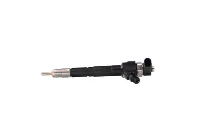 INJECTOR REMANTE 002003000142R 10