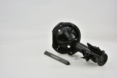 AMORTIZOR FEBEST 12666483FR 10