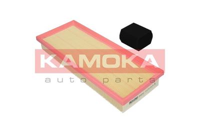 Air Filter F239701