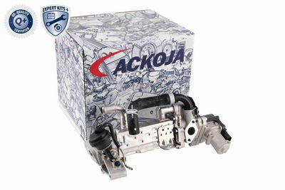 MODUL-EGR ACKOJA A52630019 1