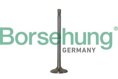 SET SEGMENTI PISTON Borsehung B10347