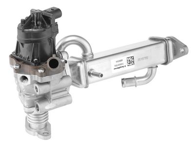 MODUL-EGR BorgWarner 749007D0 1