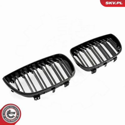 GRILA RADIATOR ESEN SKV 66SKV005 1