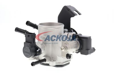 CARCASA CLAPETA ACKOJA A53810003 55