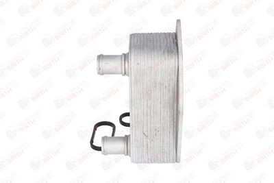 RADIATOR ULEI ULEI MOTOR BIRTH 80041 4