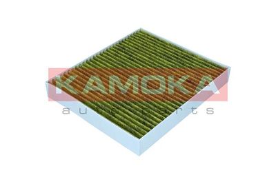 Filter, cabin air 6080179