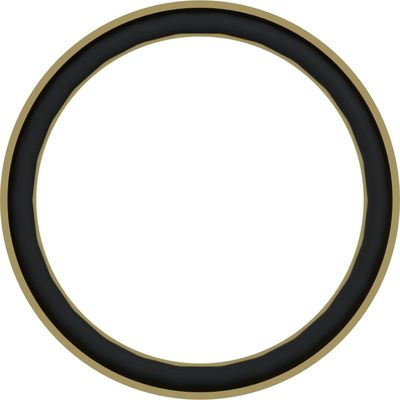 Slang verbindingsring (drukdichtend met o-ring, M10x1mm)
