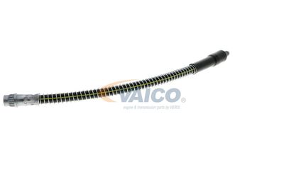 FURTUN FRANA VAICO V464113 31