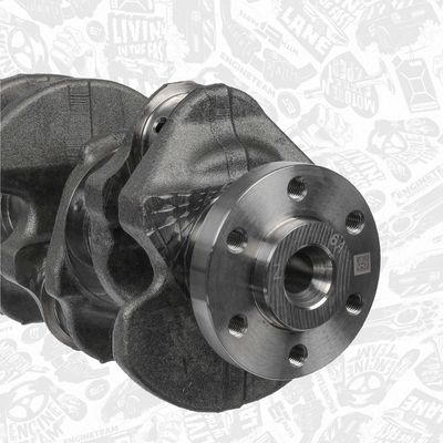 ARBORE COTIT ET ENGINETEAM HK0237 4