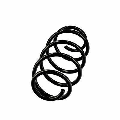 ARC SPIRAL EIBACH R10569 14