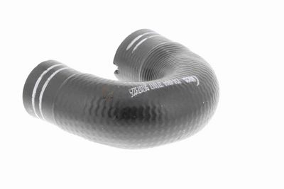 FURTUN EAR SUPRAALIMENTARE VAICO V240804 4