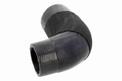 FURTUN EAR SUPRAALIMENTARE ACKOJA A260541 4