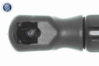 GASFEDER KOFFER-/LADERAUM VAICO V109296 7