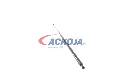 AMORTIZOR PORTBAGAJ ACKOJA A380069 47