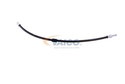 FURTUN FRANA VAICO V300547 37