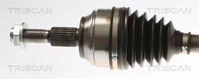 PLANETARA TRISCAN 854016658 1