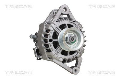Generator TRISCAN 8310 18006