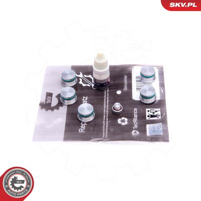 Reparationssats, sugrörsmodul ESEN SKV 49SKV537 för ALFA ROMEO, FIAT, LANCIA, OPEL