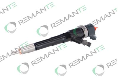 INJECTOR REMANTE 002003000156R 5