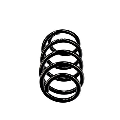 ARC SPIRAL EIBACH R10806 13