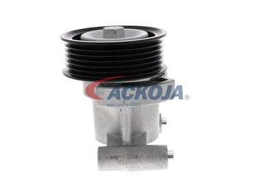 INTINZATOR CUREA CUREA DISTRIBUTIE ACKOJA A320602 48