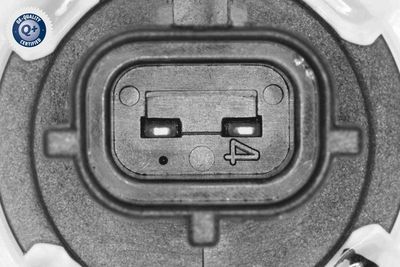 SENSOR WASCHWASSERSTAND VEMO V52720363 2