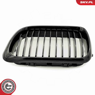 GRILA RADIATOR ESEN SKV 66SKV049 7