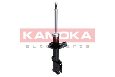 Shock Absorber 2000244