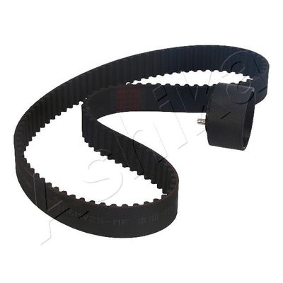 Timing Belt Kit KCT894