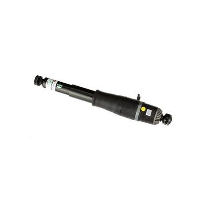 LUFTFEDERBEIN Arnott AS3066 53