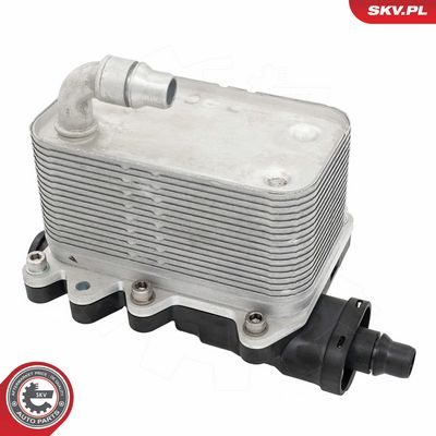 Alyvos aušintuvas, automatinė transmisija