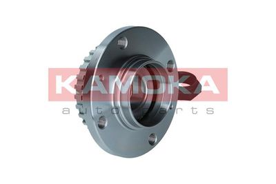 Wheel Bearing Kit 5500205