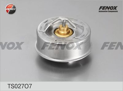 термостат, охладителна течност FENOX TS027O7
