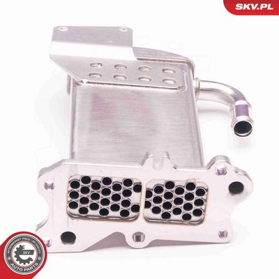 RADIATOR RECIRCULARE GAZE DE ESAPAMENT