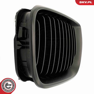 GRILA RADIATOR ESEN SKV 66SKV077 8