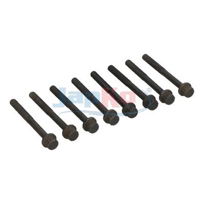 SET SURUB CHIULASA JAPKO 115301 1