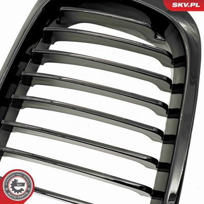 GRILA RADIATOR ESEN SKV 66SKV060 6