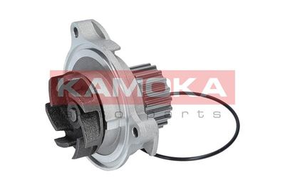 Water Pump, engine cooling T0042