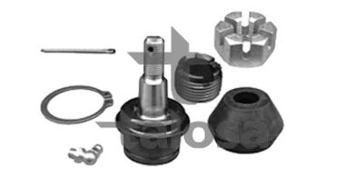 ARTICULATIE SARCINA/GHIDARE