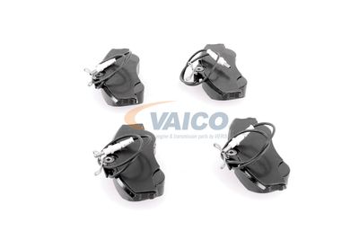 SET PLACUTE FRANA FRANA DISC VAICO V220079 37