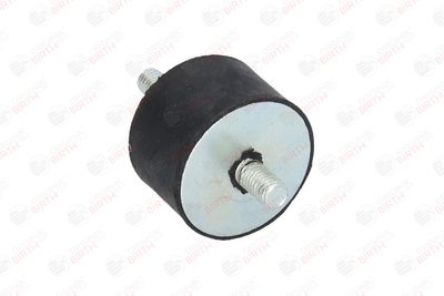 SUPORT MOTOR BIRTH 5275 3