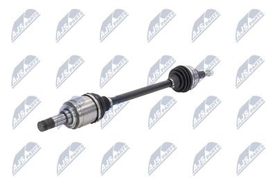 PLANETARA NTY NPWCH126 3