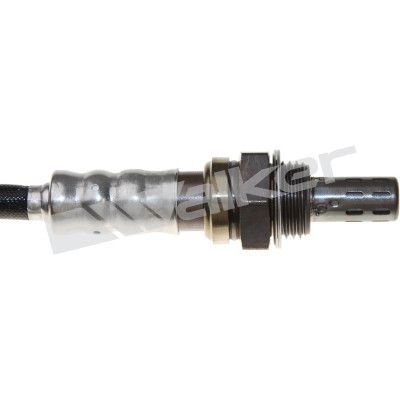 LAMBDASONDE WALKER PRODUCTS 250241013 1