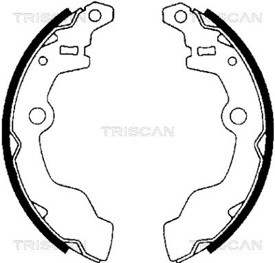 TRISCAN 8100 69002 Гальмівні колодки барабанні 