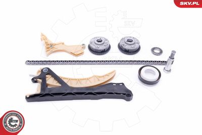 Timing Chain Kit 21SKV168