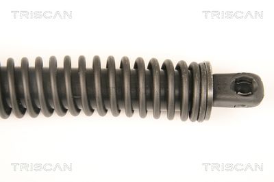 AMORTIZOR PORTBAGAJ TRISCAN 871038228 2