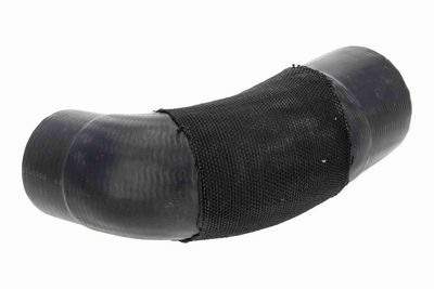 FURTUN EAR SUPRAALIMENTARE ACKOJA A260541 1