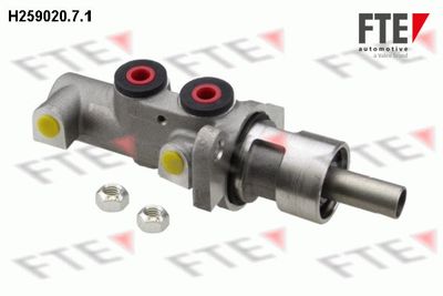 FTE H259020.7.1 Ремкомплект главного тормозного цилиндра  для ALFA ROMEO 166 (Альфа-ромео 166)