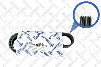 Поликлиновой ремень STELLOX 05-00868-SX для FORD C-MAX